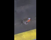 Rat mouse eats out of red solo cup on subway train tracks