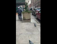 Car parks on the street with a dummy driver pt 2