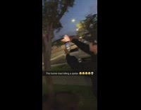 Guy uses a blow torch to kill spider on tree, runs away screaming