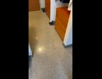 Man Gets Excited Over Dinosaur Fossil Magic Cup