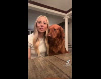 Woman angry at people who doesnt care about dogs