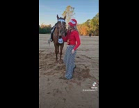 Woman and horse as Lightning McQueen and Tow Mater