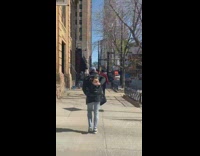 Collab BitchMP - Brown dog backpack guy walking