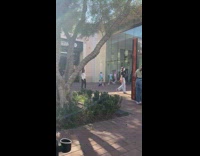 Girls colored wig skirt dance beside glass