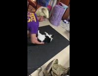 Purple shirt guy moves hands cat mat