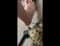 Tortoise on the floor bite feet chair