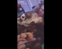 Brown bulldog puppy lays on guys chest