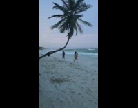 Shirtless woman lay over palm tree beach 