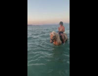 Collab BitchMP - Group of people riding horses through lake shallow water 