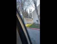 Pigeon on the head of the woman