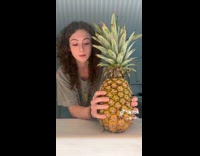 Collab Clips mpugc - Woman fails to do the pineapple hack