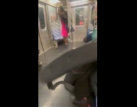 Passengers run scream at squirrel inside train