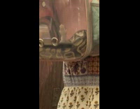 Collab WINY - Woman inside a train with Snake in backpack Pet Bag