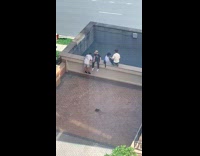 Collab IITW - Four men poses and take turn at the rooftop photoshoot