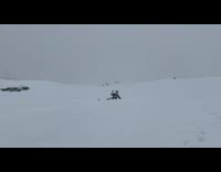 Kid on skis attempts backflip fail 