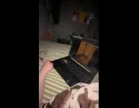 Cat watching videos on laptop with hooman