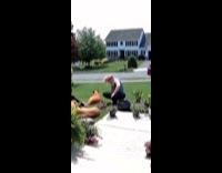 Woman pregnant gets up fell on dog