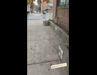 Turkey pumpkin ice sculpture outside on sidewalk planter