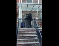 Large black scruffy dog on house gate