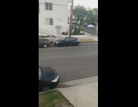 Two green dinosaur costume quarantine hug street