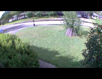 Insect fly towards security camera front yard