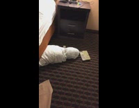 Leaving hotel room housekeeper scare