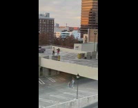 Two photoshoots on different levels of structure