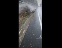 Guy crashes on the side of the road 