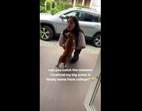 Collab KaleSaladIG - Brown Dachshund Checks Lady and Runs Around Porch