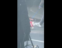 Dog wear jacket pants walk on street