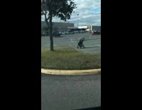 Baby Roller Cart Rolls on then Bumps and Flips