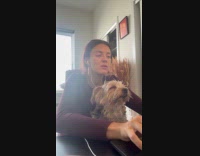Woman works with sleepy dog on lap