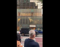 Man dressed as Donald Trump controlling traffic