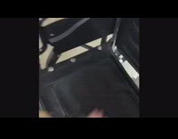 Collab DogIG - german shepherd bad service dog