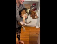 Woman carries dog tries to reach food