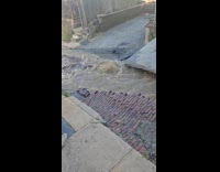 Woman shows sinkhole in front of house