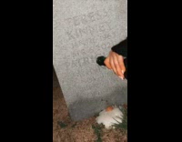 Little girl asks why grave is so thirsty for alcohol
