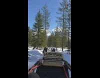 Person ride sled pulled by husky dogs