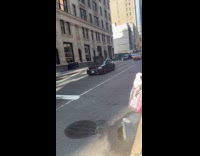 Woman purple jacket with pigeon in bag