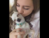 Woman Poses With White Chihuahua to Music