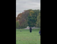 Kid wears grim reaper costume in the park