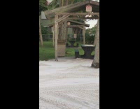 Two Cats Play Fight On Grass Near Sandy Beach Bench