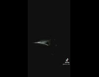 White car with impossible to see dark tint 