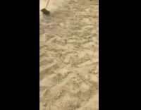 Guy throws metal shovel gets hit fail