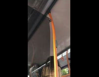 Collab Subway Creatures - Woman brown coat talks loudly to herself with earphones in ears on bus