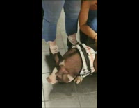 Guy brings pig on leash to subway station