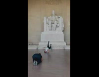 Woman baby freeze pose Lincoln Statue Memorial photo shoot