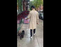 Collab WINY - Man walk street protect pug with umbrella