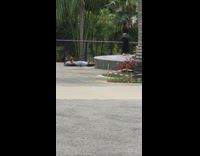 Guy lays on back to get photo