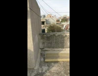 Peacock on rooftop open tail water tank